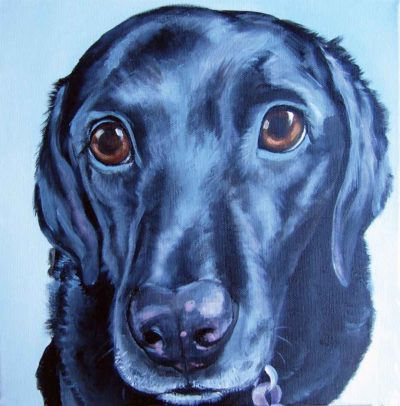 Black-lab