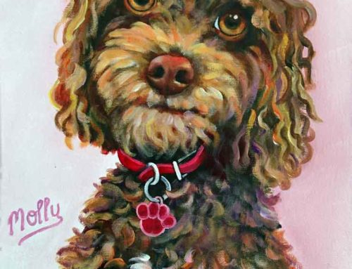 Molly the Cockapoo