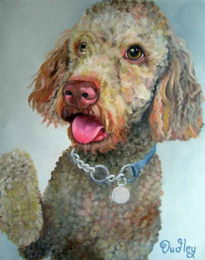 Ladbradoodle