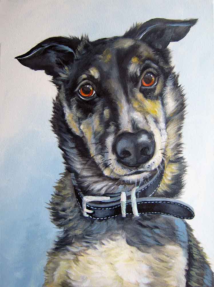 dog portrait