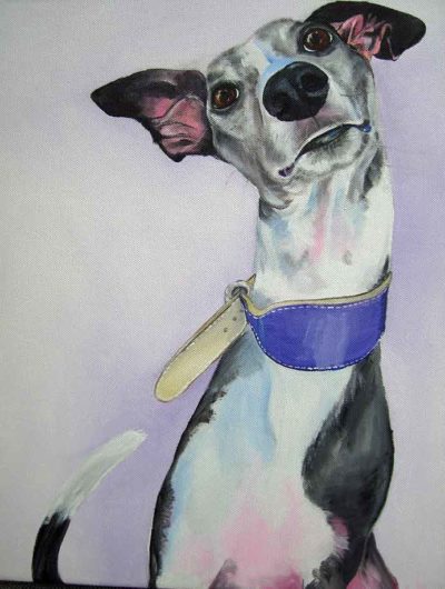 Zebedee-Whippet