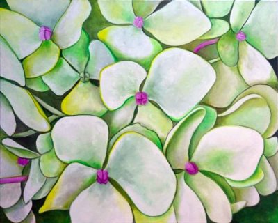 green-hydrangea