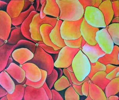 orange-hydrangea