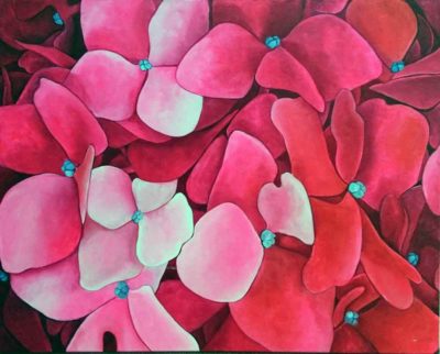pink-hydrangea
