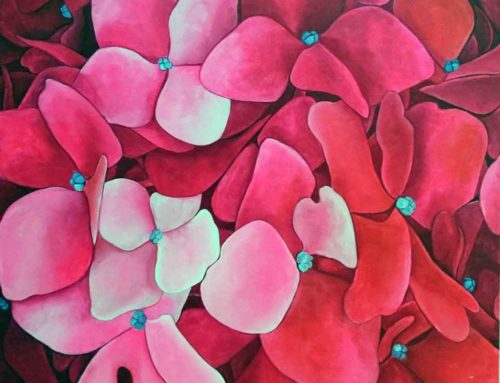 Pink Hydrangea
