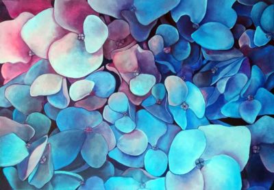 purple-hydrangea