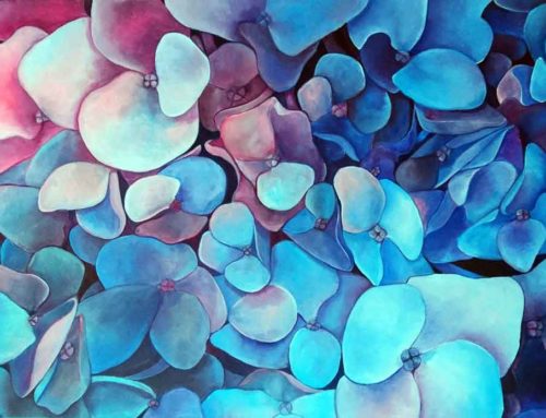 Purple Hydrangea