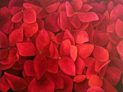 red-hydrangea