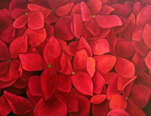 Red Hydrangea